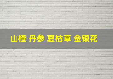 山楂 丹参 夏枯草 金银花